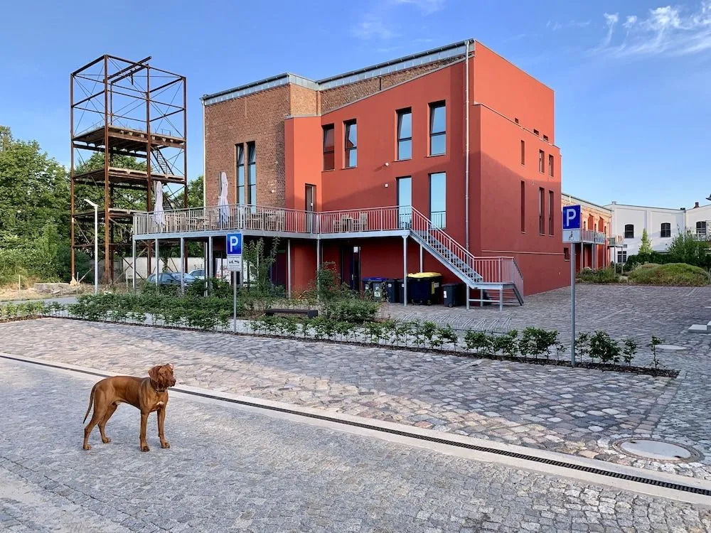 havelblau Ferienlofts - Stilvoll wohnen unmittelbar an der Havel - zentral - Küche - WLAN - Wallbox - Kajaks und Fahrräder vor Ort