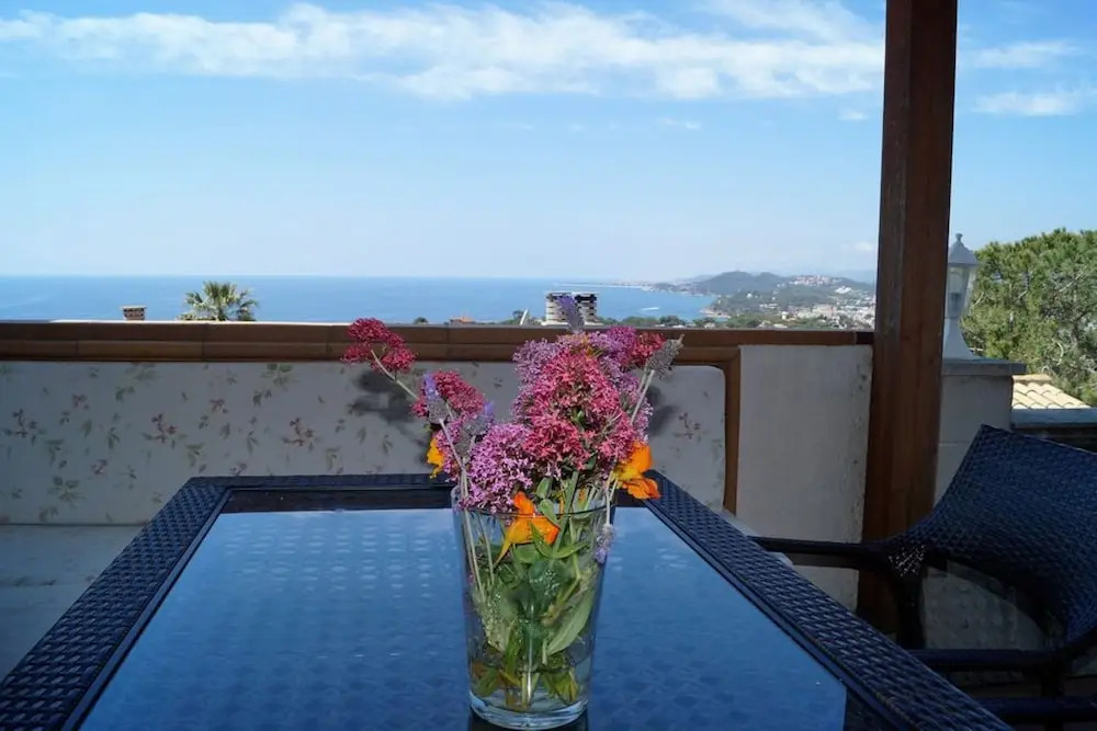107523 - House in Cala Canyelles