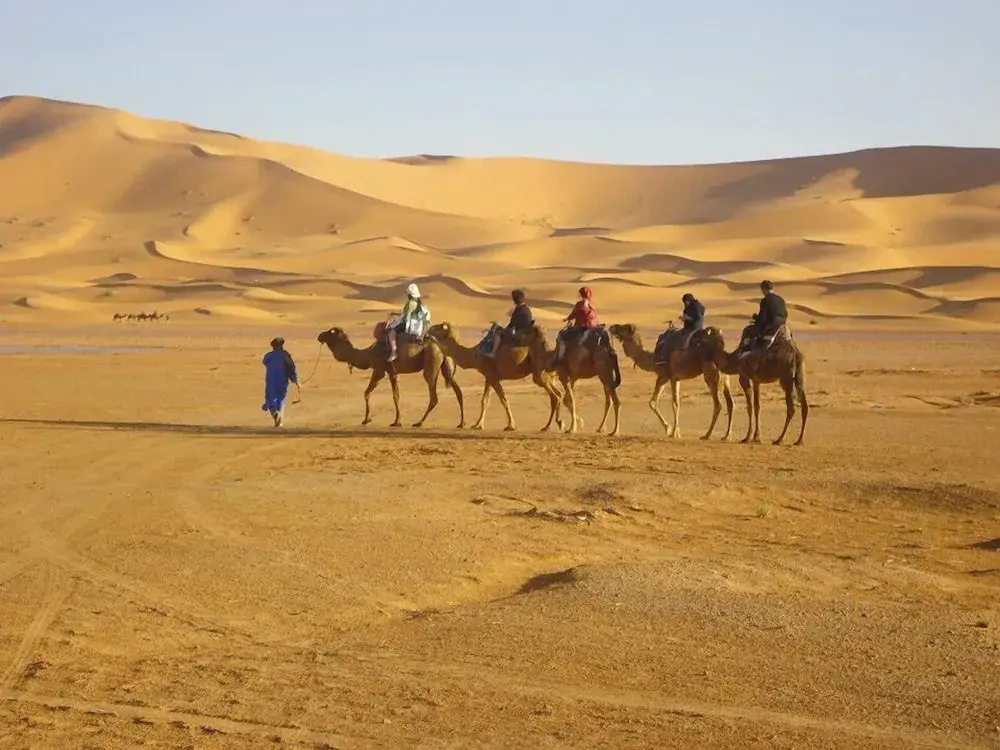 Riad De Rêve