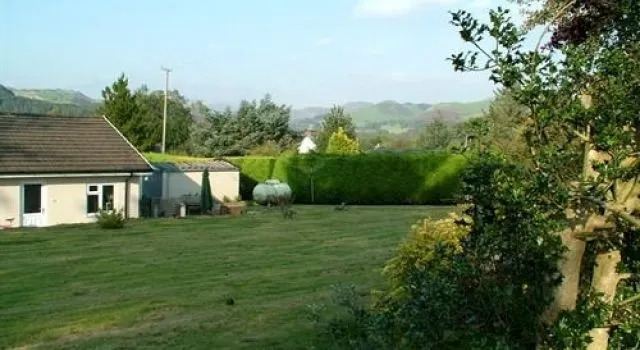 Tynycae
