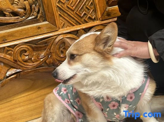 Qingke Xiangju  Homestay