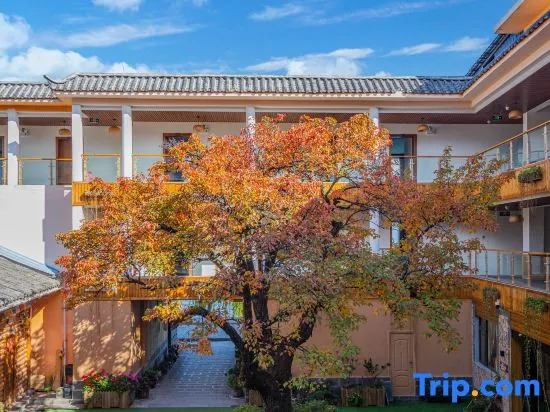 Qihai Tingfeng Inn (Lugu Lake Headquarter)