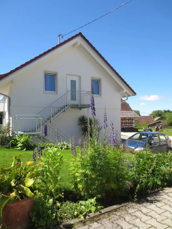 Buche
