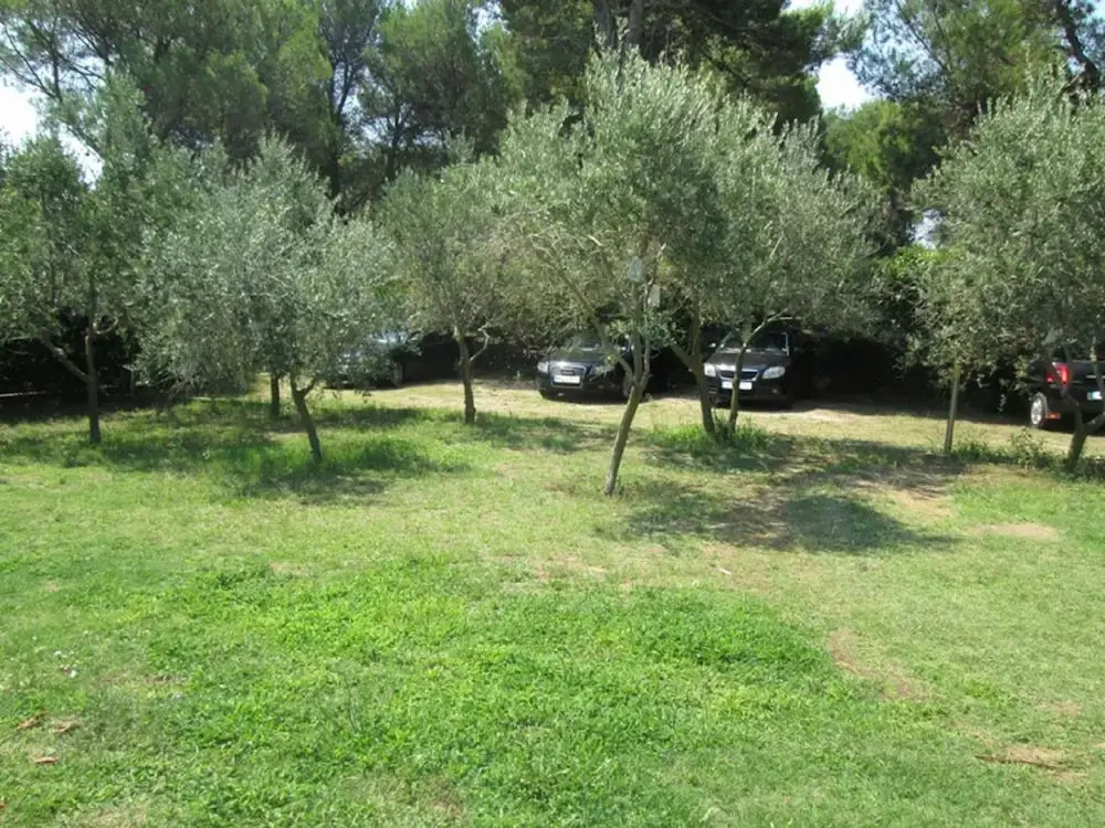 Ivo - With Parking - A3