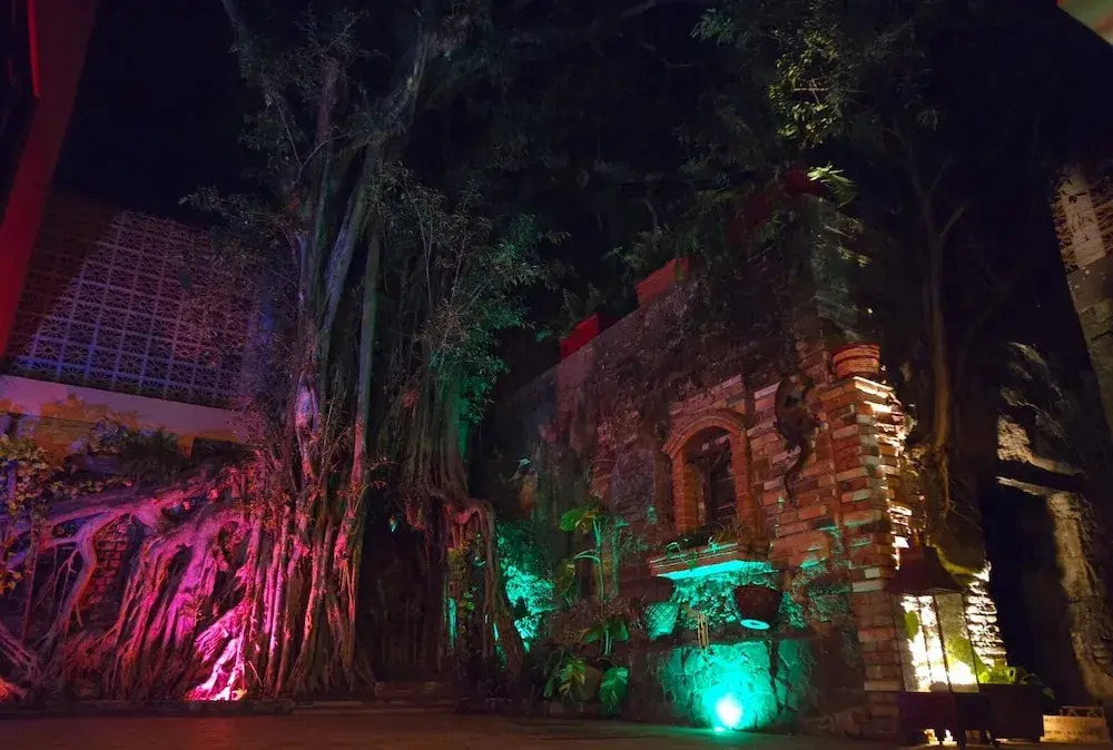 Casa del Arbol