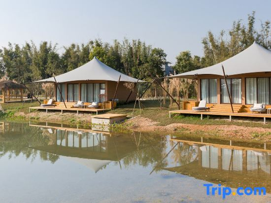 North Latitude Forest Camp