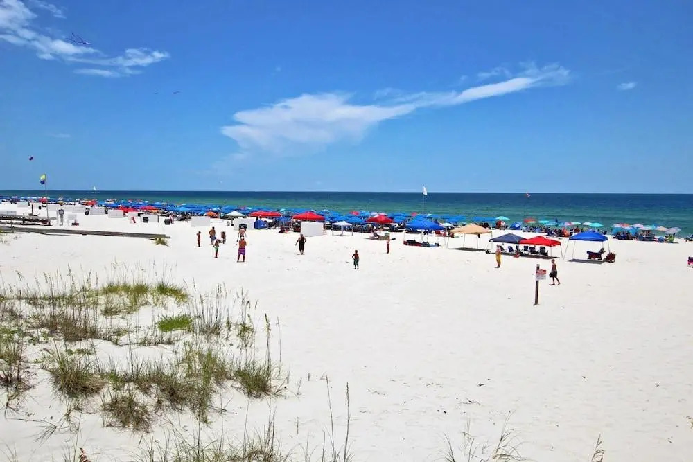 Hammock Dunes J by Youngs Suncoast
