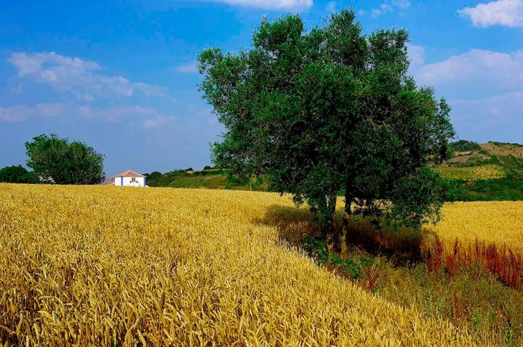 Aldeia da Mata Pequena