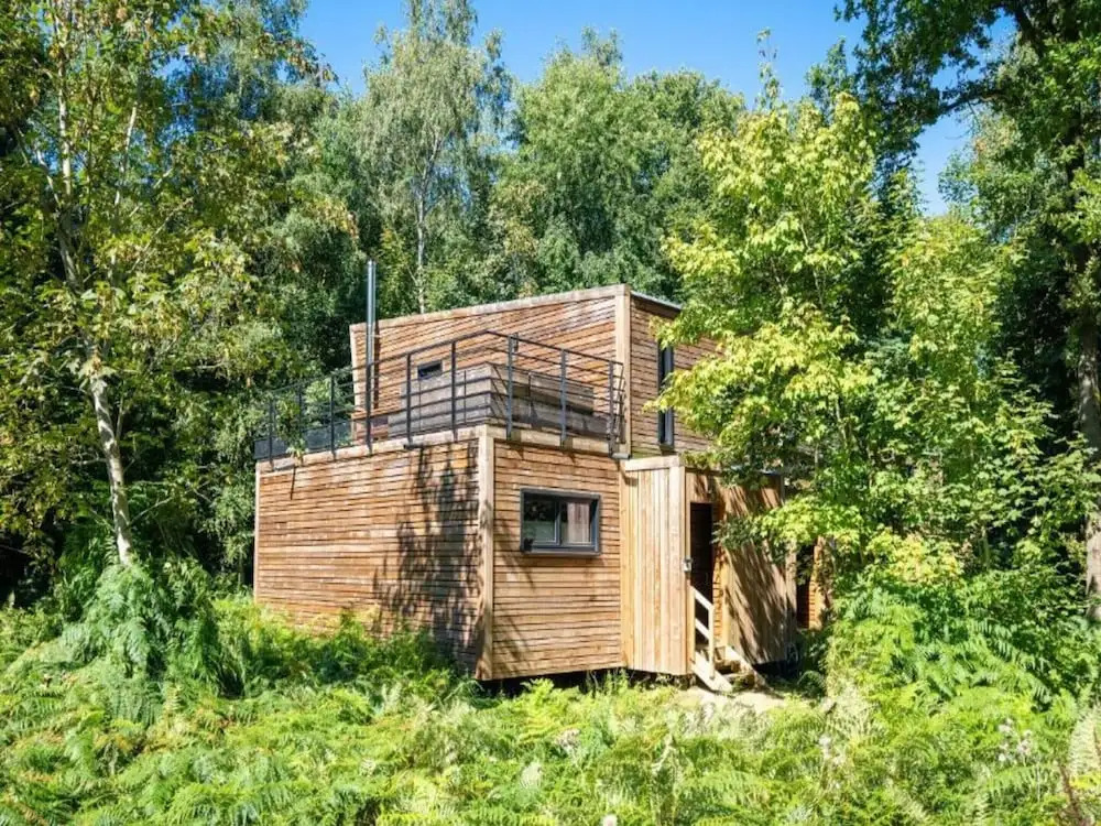 Treetop Tranquility Stay