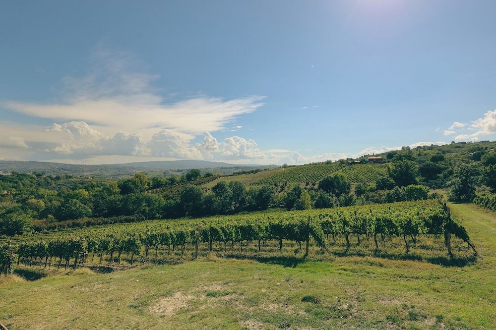 Agriturismo Casale 1921