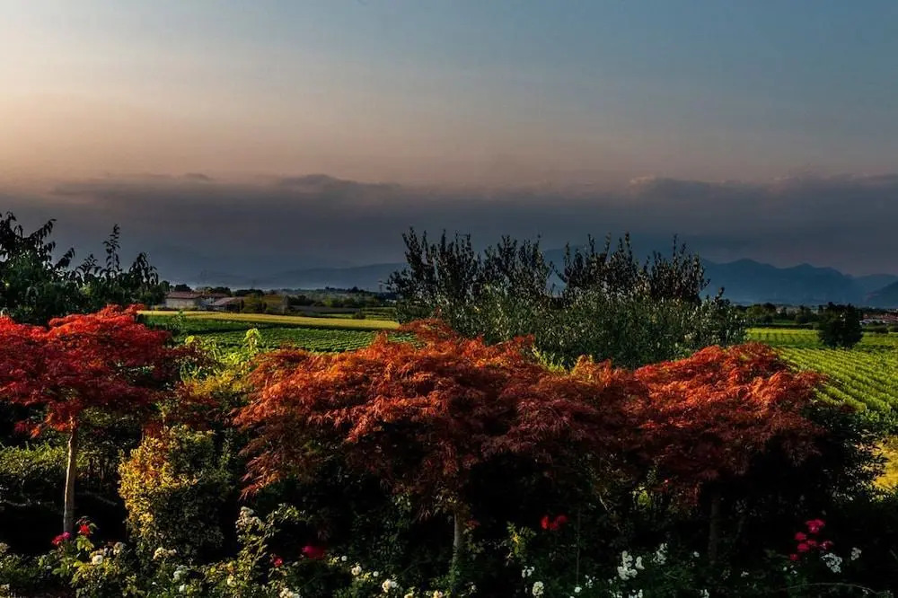 Agriturismo Corte Zenati