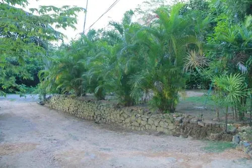 Orient Garden Home