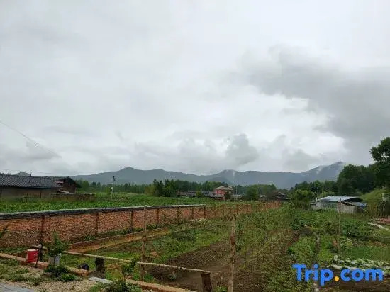 Xingchen Mountain View Courtyard of Lugu Lake