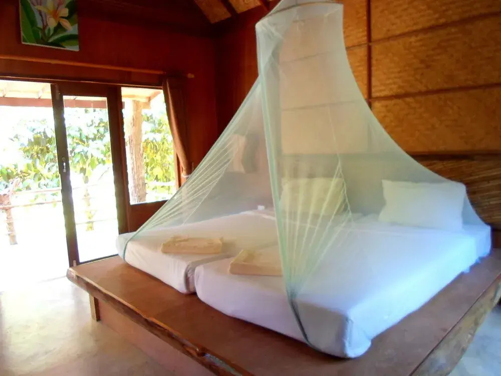 The Cliff and River Jungle Resort ภูผาและลำธารรีสอร์ท