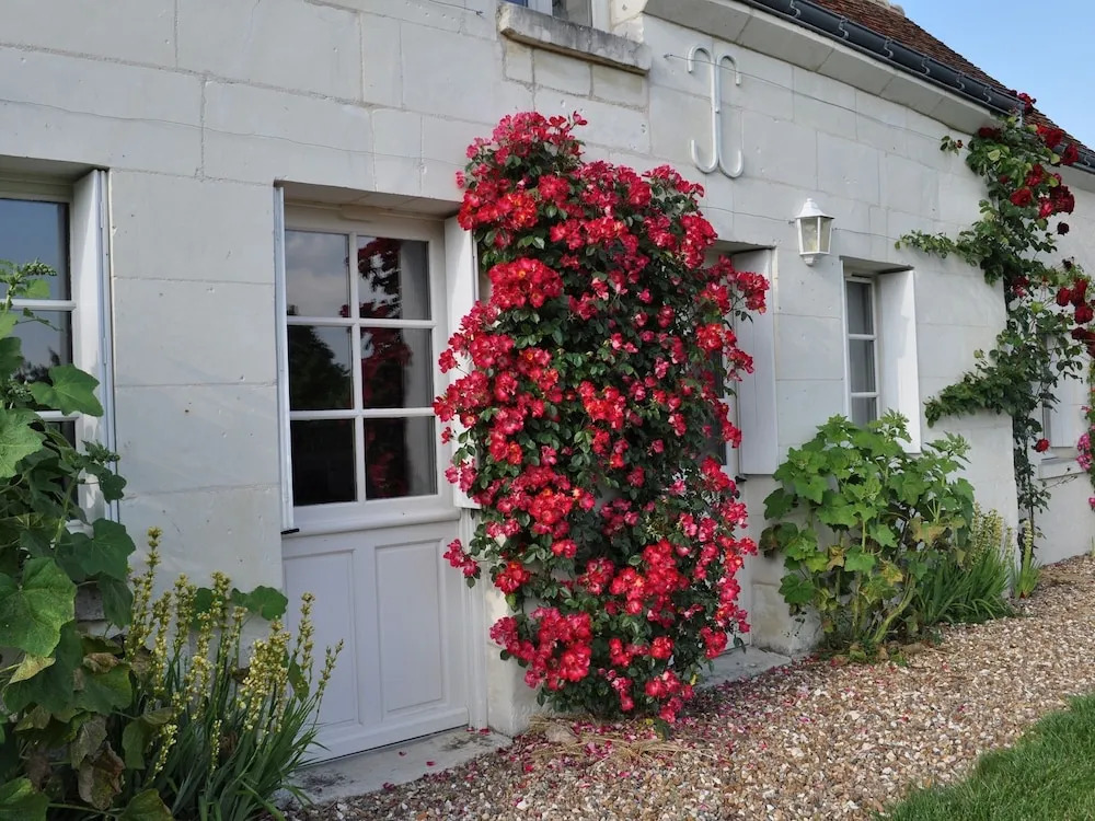 The Cottage