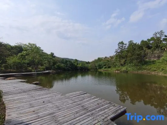 Shan pan yi Shu villa (Huizhou huilin hot spring branch)
