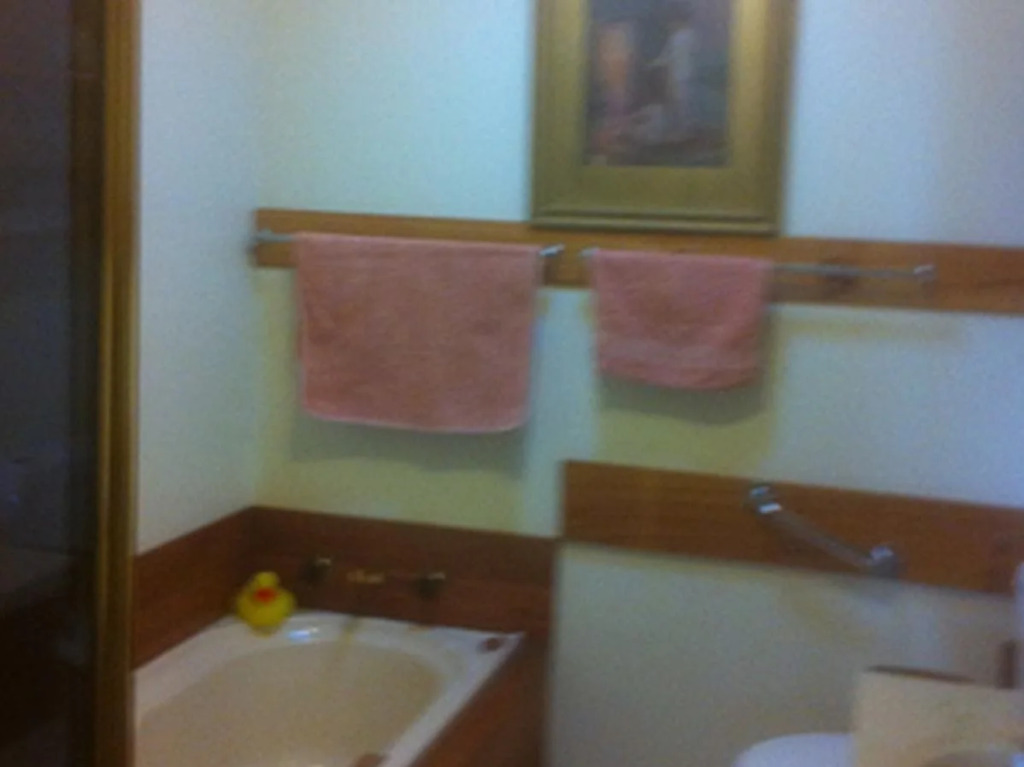 Blueberry B & B