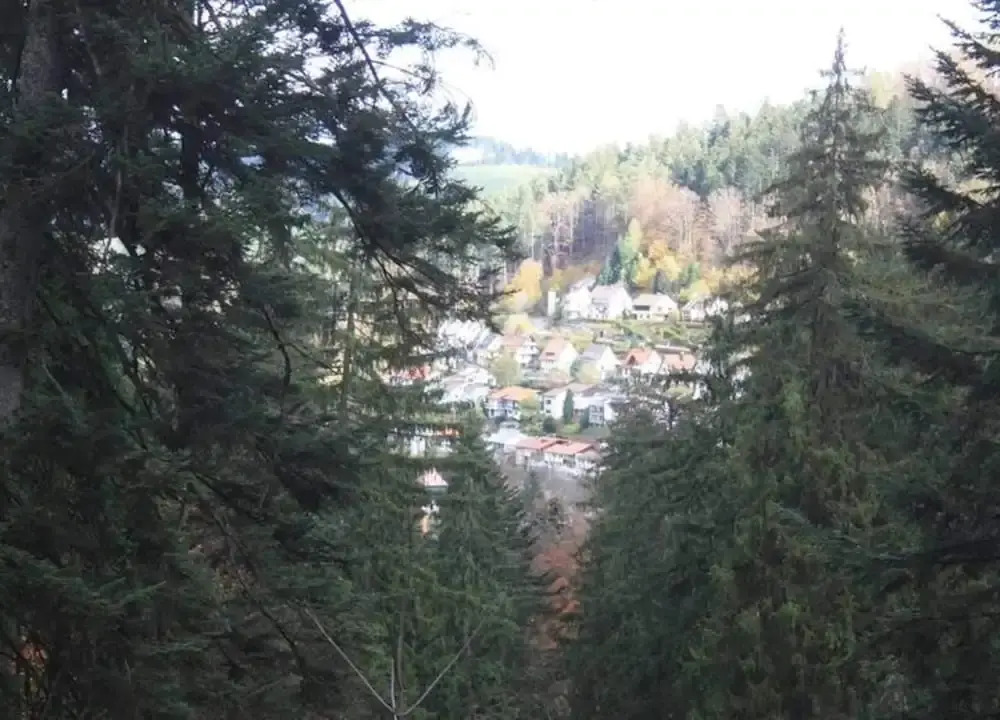 Comfy Apartment in Salmensbach near River