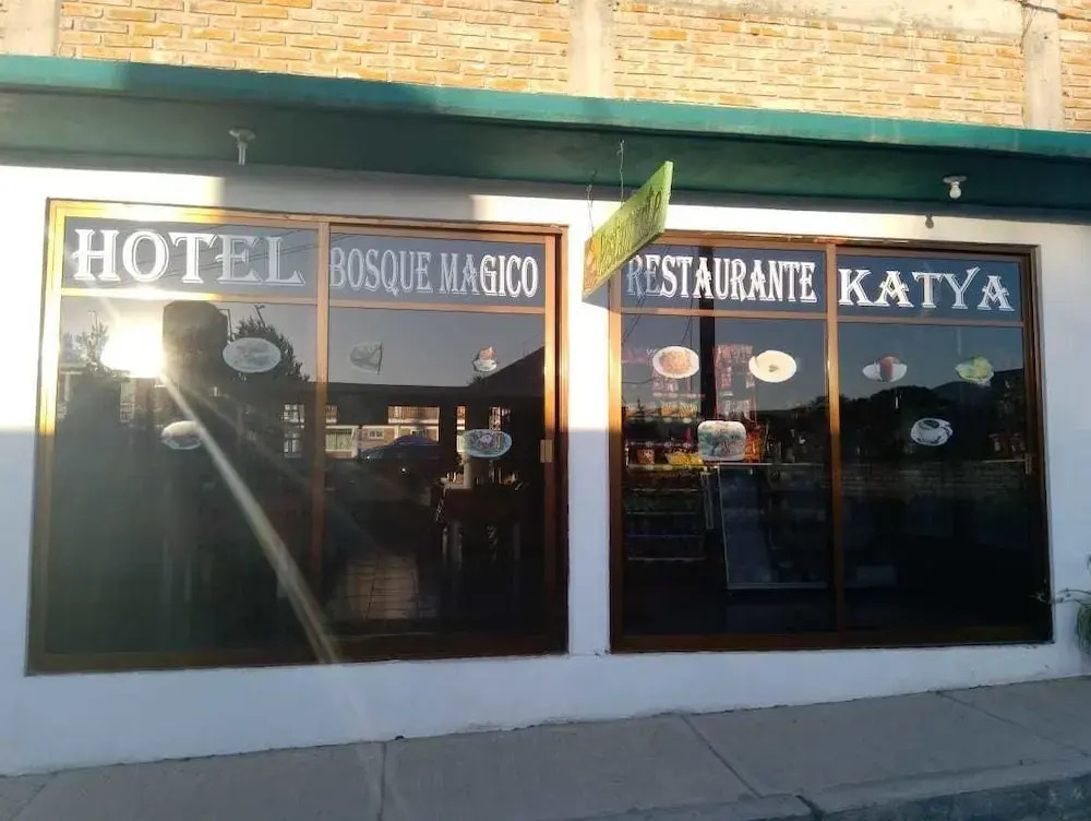 Hotel Bosque Magico