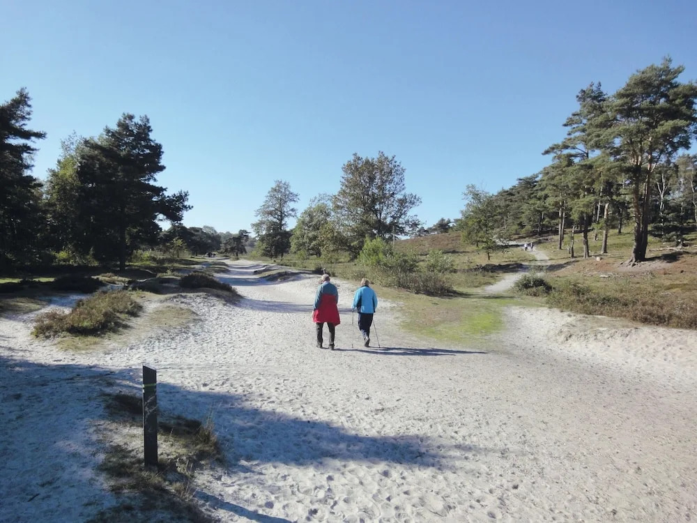 Well Furnished Chalet with Garden near Brunssummerheide