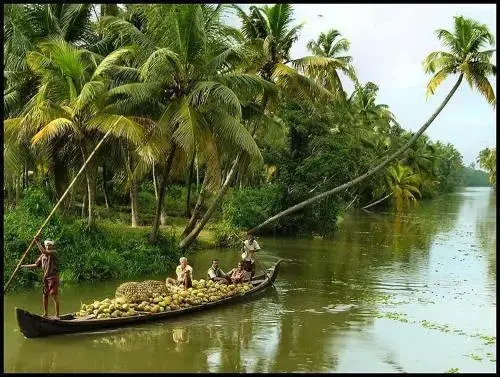 Backwater Villa