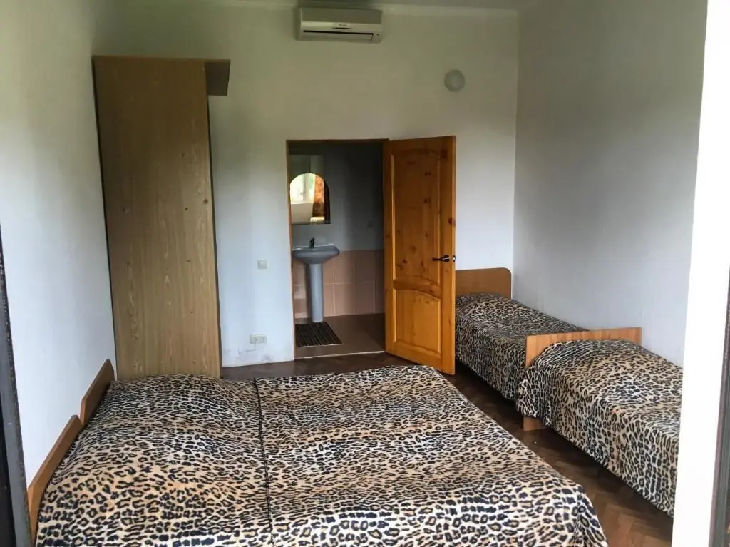 Guest House on Apsny 24a