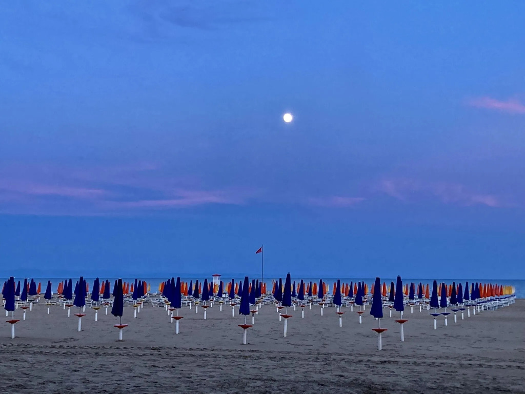 Seafront Apartments DOlivo al Mare