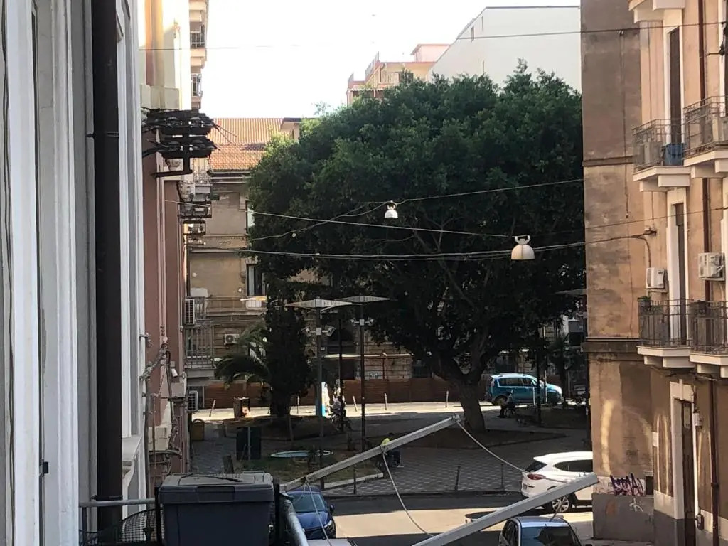 Montello Guest House & Apartment