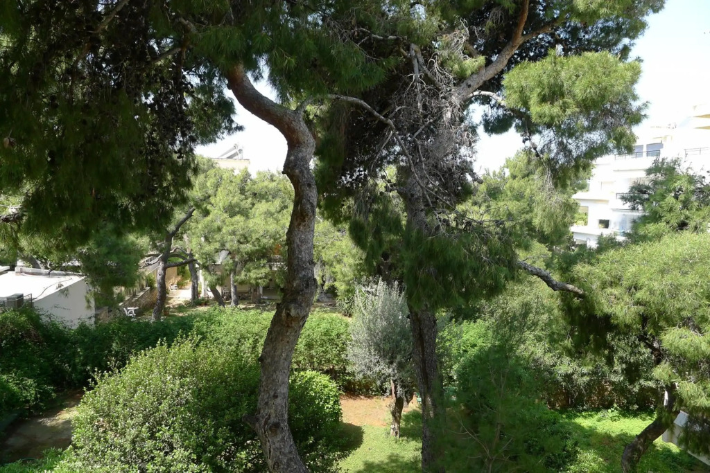 Deluxe Apartment in Vouliagmeni