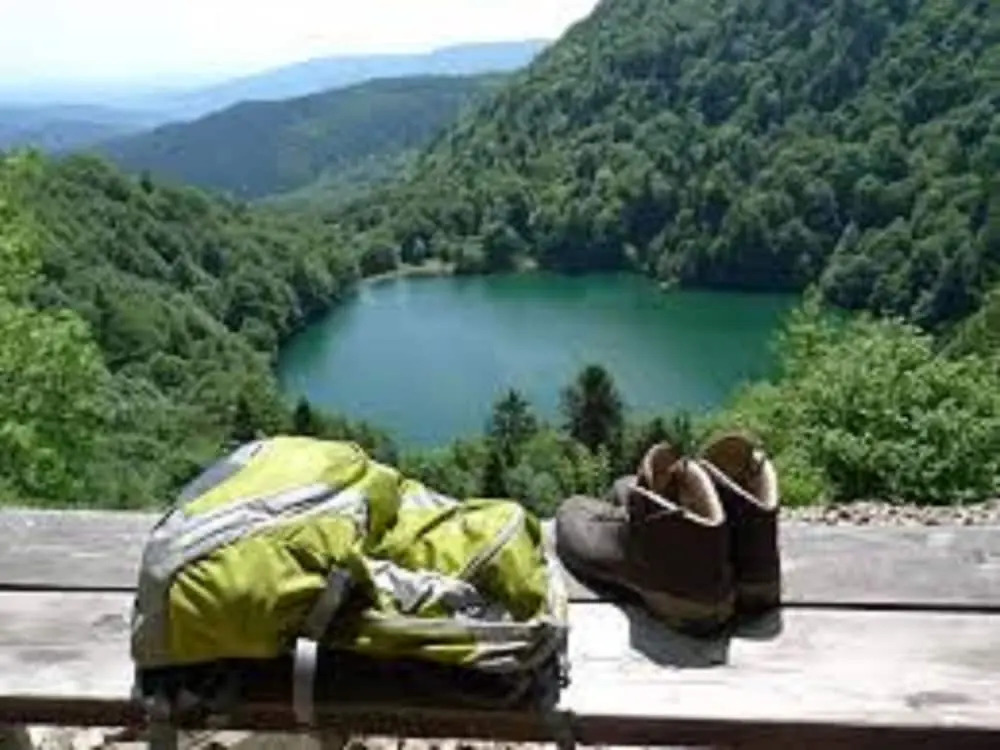 Traditional Chalet in Sapois Vosges With Balcony