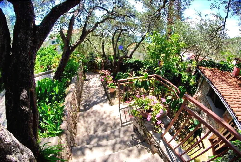 Guest House Elena