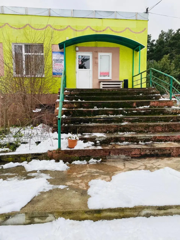 Балтийский лес