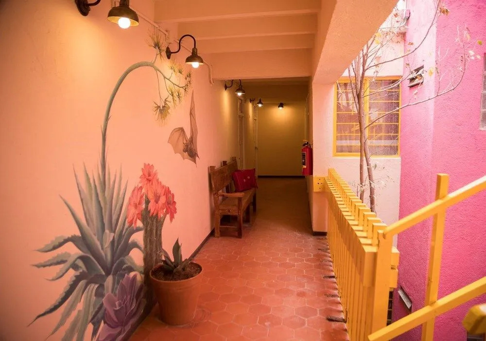Cactus Hostel