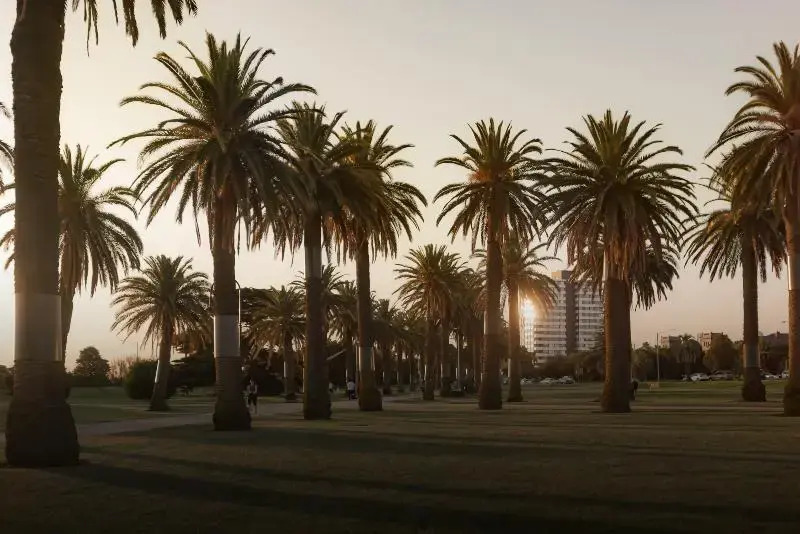MAC St Kilda Blessington St by Melbourne Apartment Collection