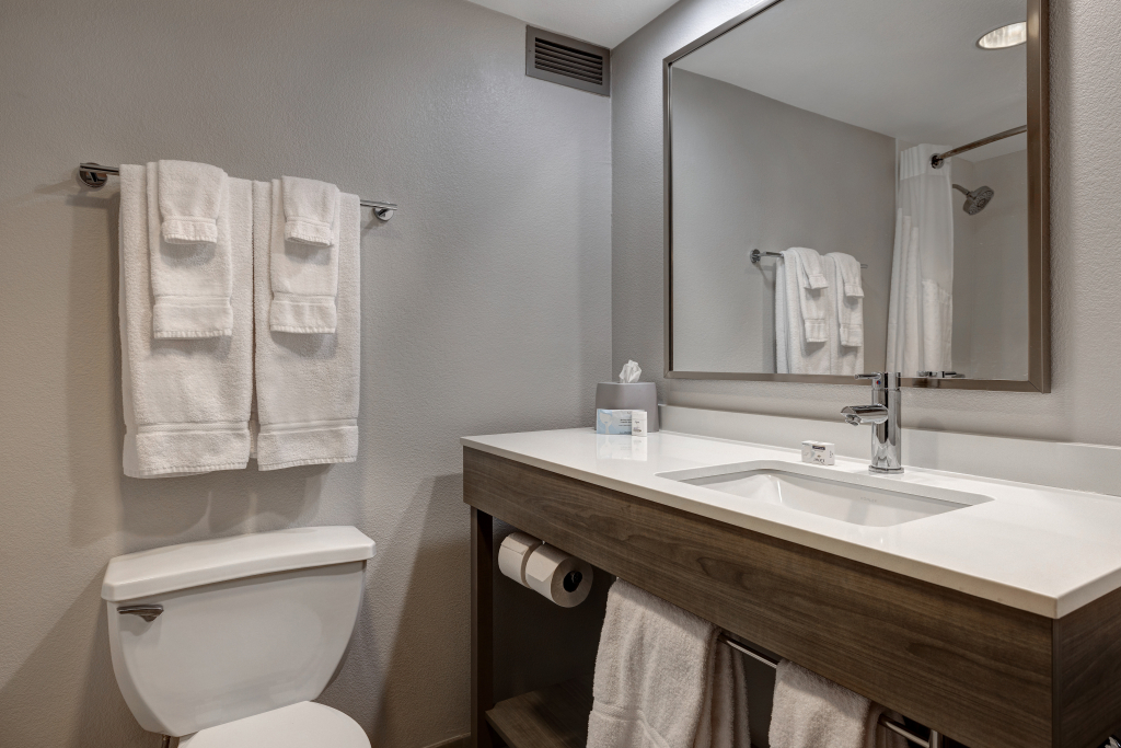 Holiday Inn Express & Suites Omaha Downtown Old Market by IHG