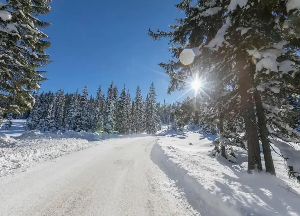 Flat in Mittersill Near Ski Lift