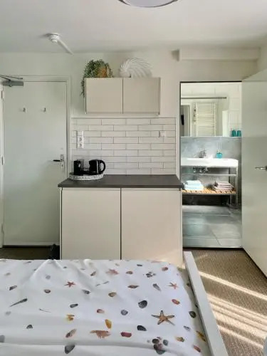 Divi Divi Zandvoort