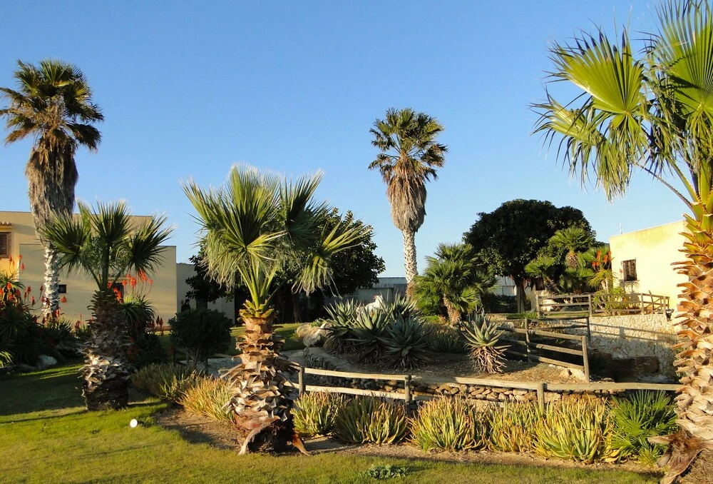 Il Giardino delle Aloe