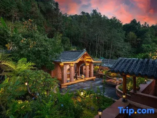 Hot Spring Forest Healing Art Homestay