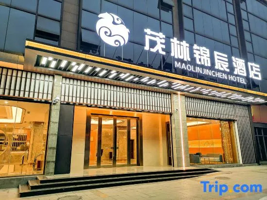 Ziyang Maolin Jinchen Hotel