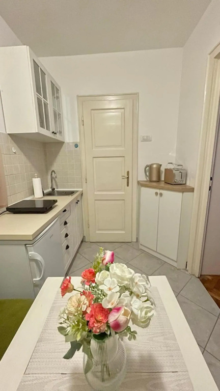 Downtown apartman T