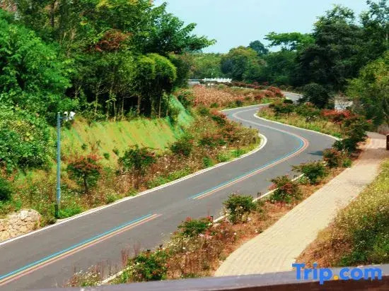 Xingyi Wanfenglin Wuq Homestay