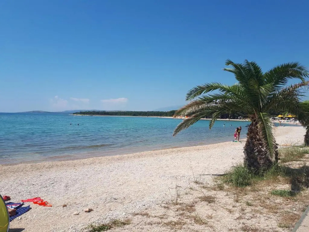 Apartmani Nena