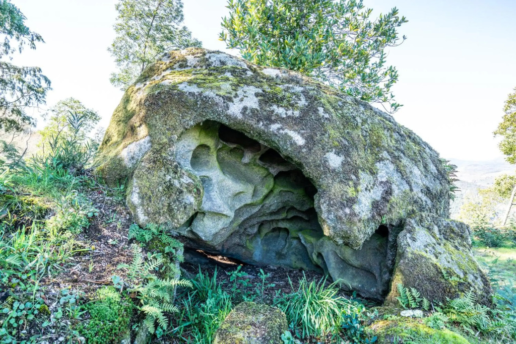 Quinta das Lamas - Antiga Adega