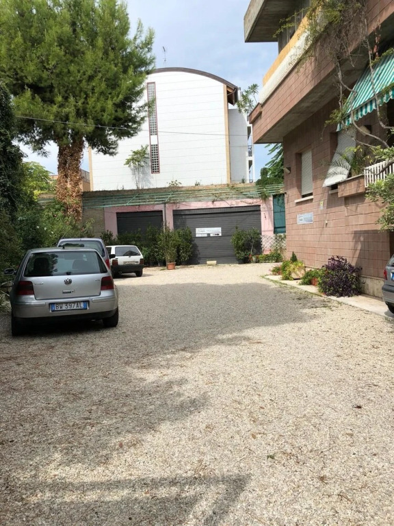 Gabbiano Bianco