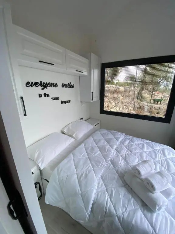 Tiny Bademli