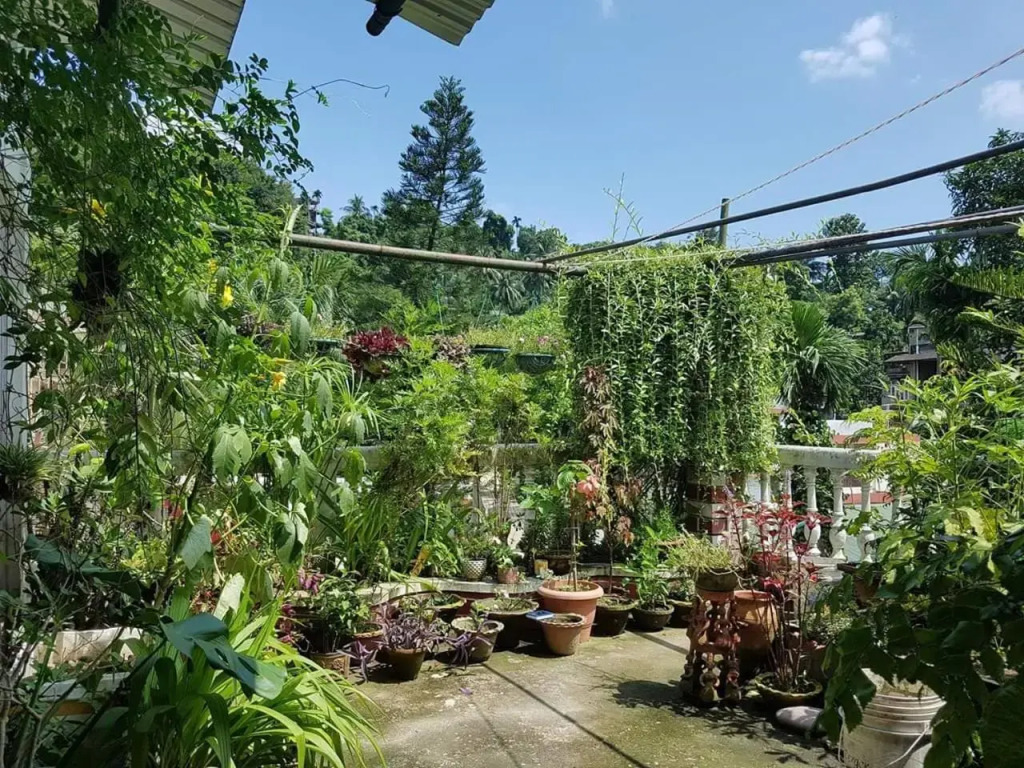 Madhumita Homestay