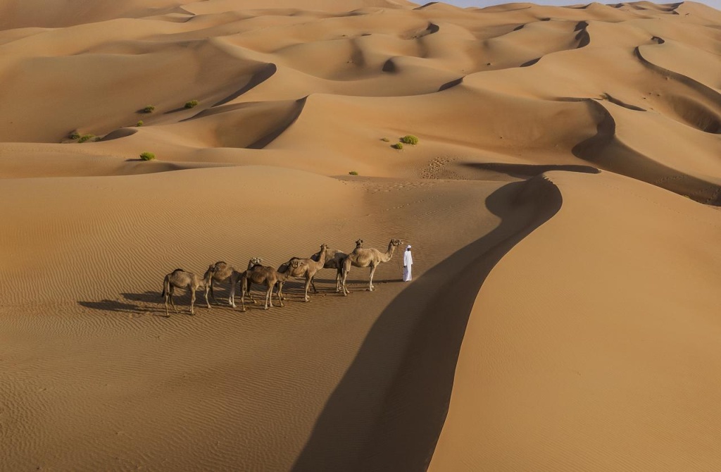 Anantara Qasr al Sarab Desert Resort