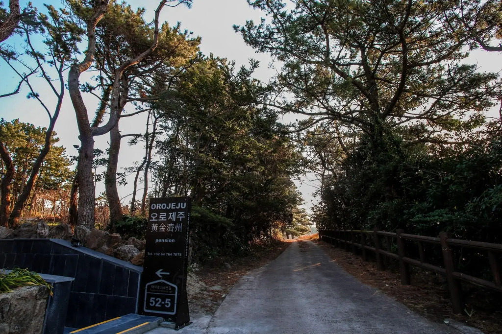OROJEJU