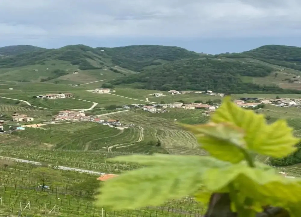 Asolo Retreat With Garden